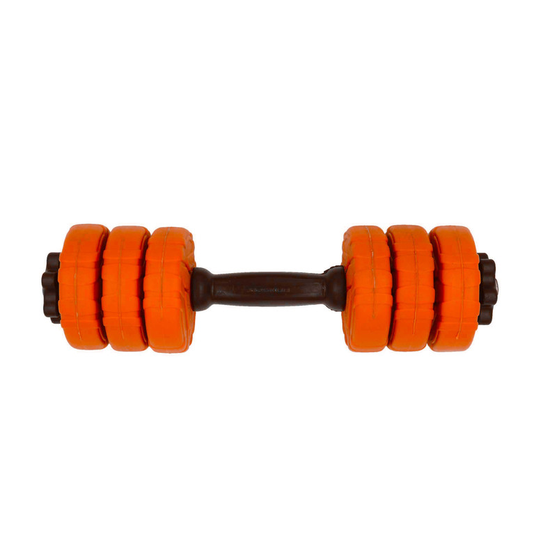 دمبل گرد قابل تنظیم وزن 3 کیلوگرم رادیس فیت مدل DVP 3-0500 one handle