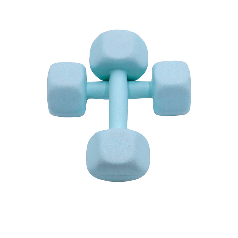 دمبل ایروبیک وزن 2.5 کیلوگرم رادیس فیت مدل RPHF-Fit 2500 بسته دو عددی