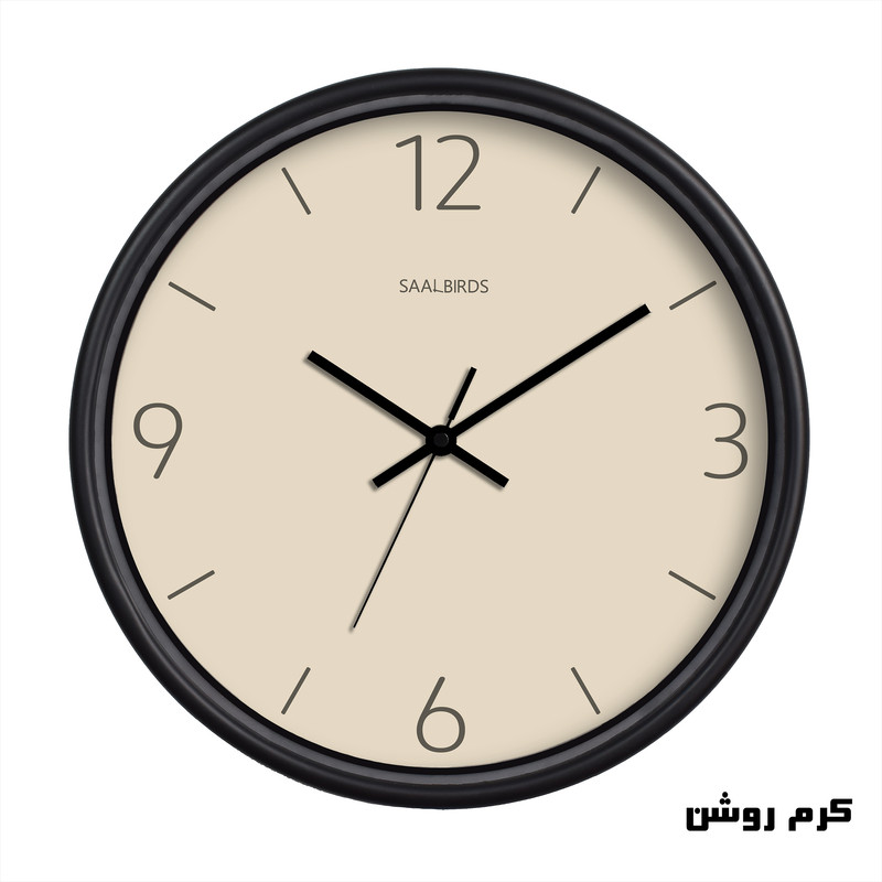 ساعت دیواری سال بردز طرح مینیمال مدل CW-660
